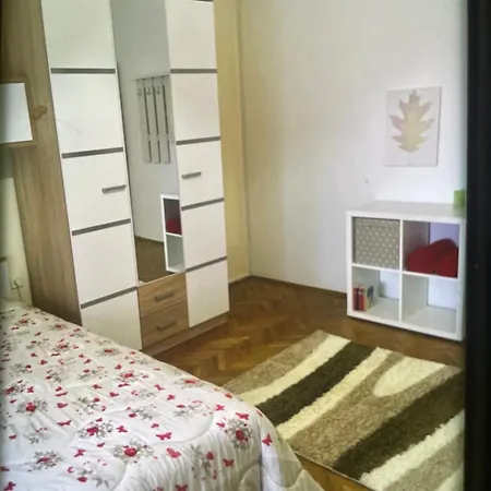 Budget In Rijeka